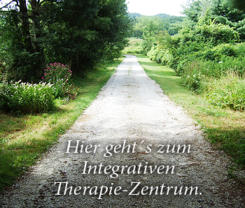 Link zum Integrativen Therapie-Zentruum